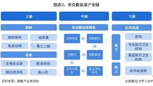 预见2024 中国单克隆抗体行业全景图谱及计算机软硬件开发的融合趋势